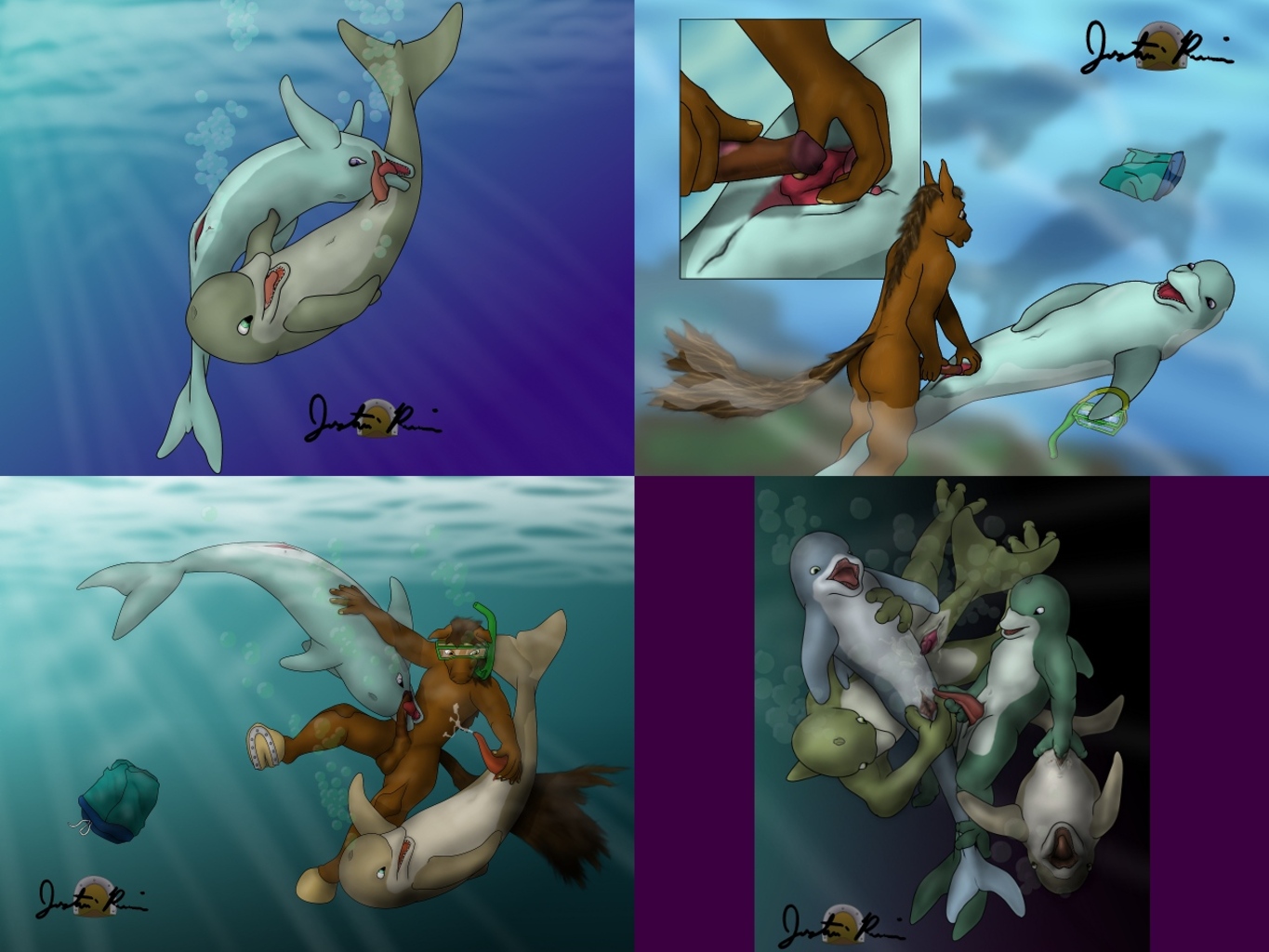 Image: Dolphin Compilation.jpg